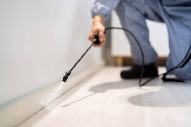 Professional exterminator conducting IPM assessment in Evansdale